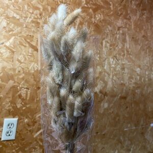 Assorted Lot of Dried Stems